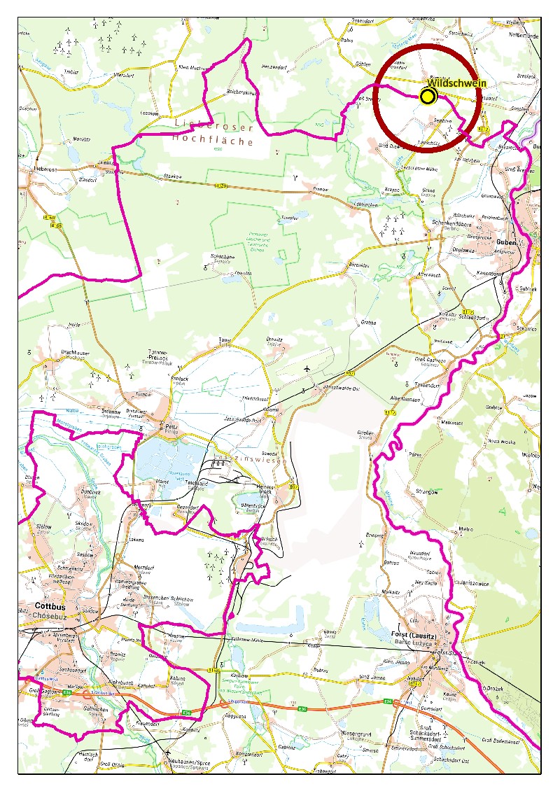 Fundort des ersten an der ASP verendeten Wildschweins in Brandenburg. (Quelle: Landkreis Spree-Neiße)