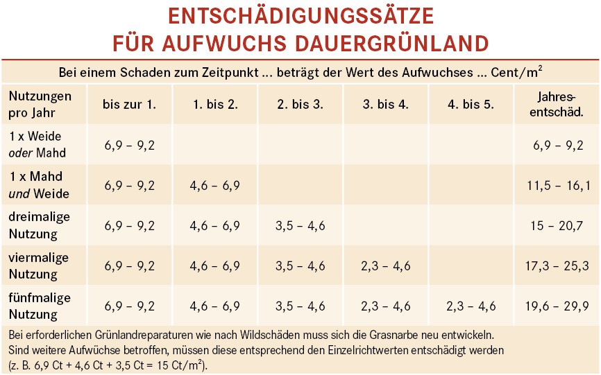 Dauergrünland