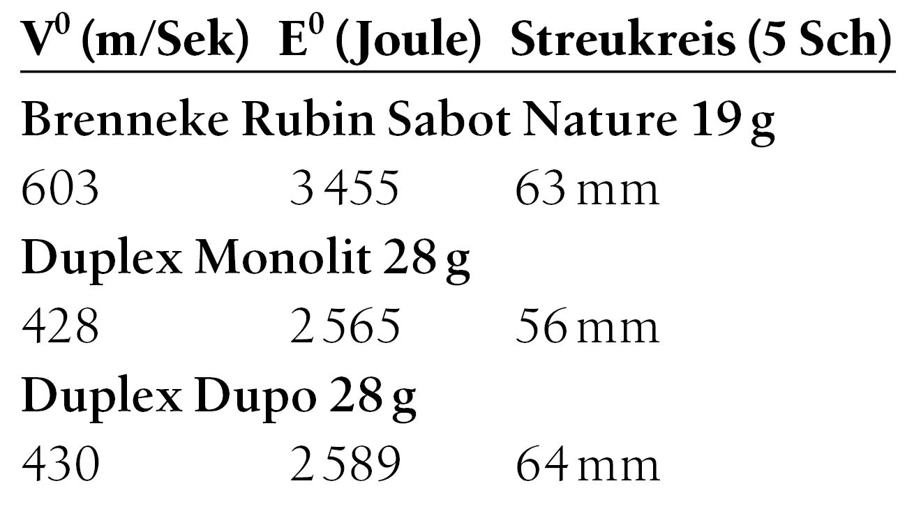 Flintenlaufgeschosse Streukreise