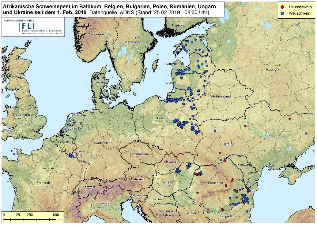 FLI Radar Bulletin ASP