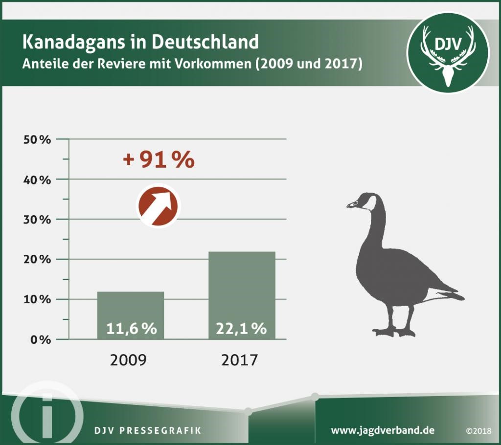 Entwicklung der Besätze der Kanadagans