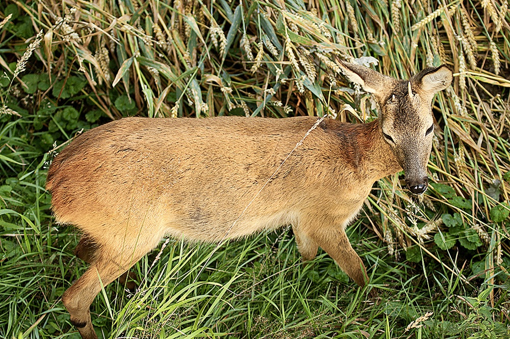 focuslandkind/stock.adobe.com