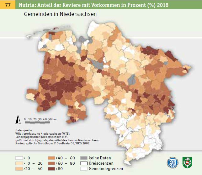 Jagdstrecke Nutria Niedersachsen 2018/19