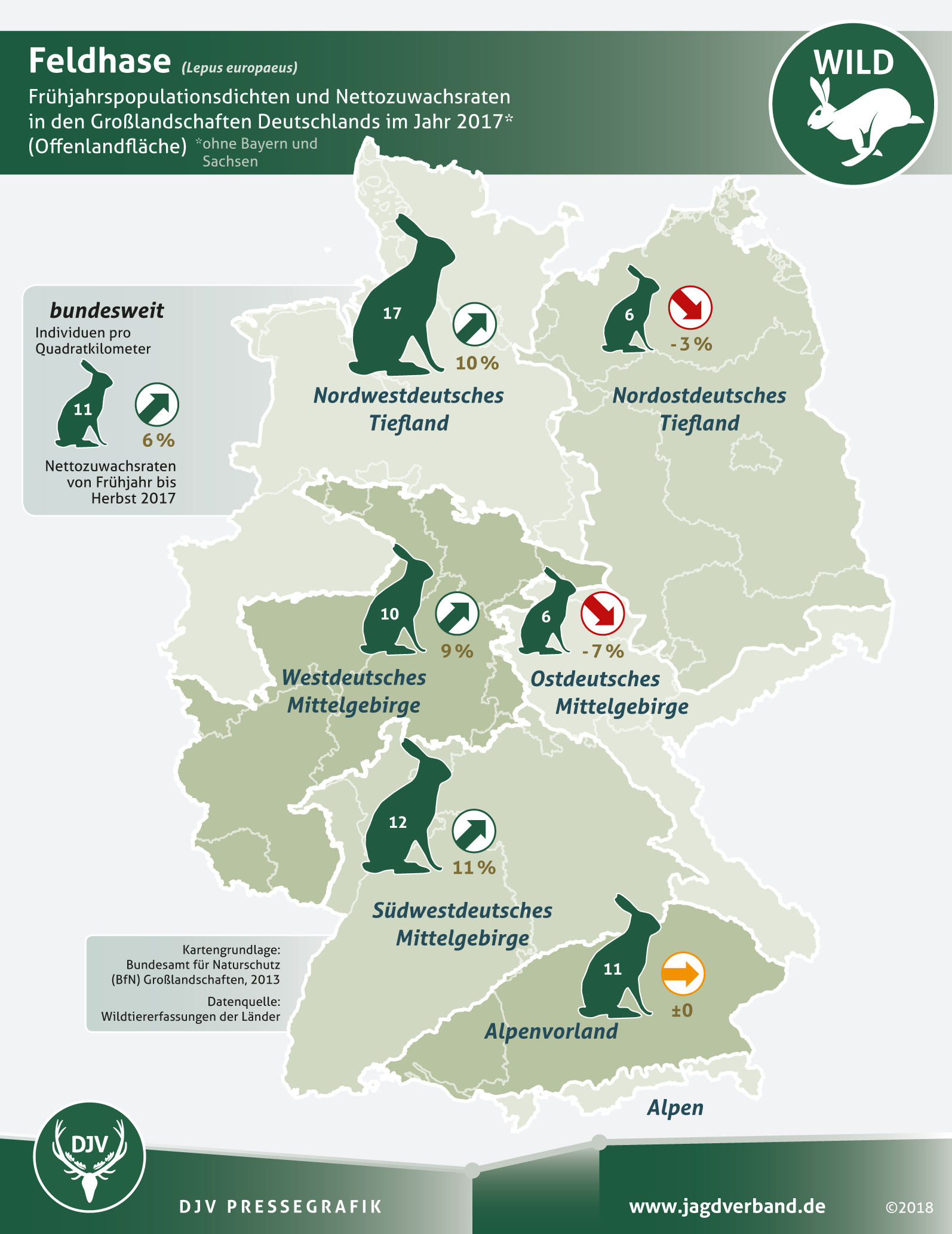 Statistik Feldhasenzählung