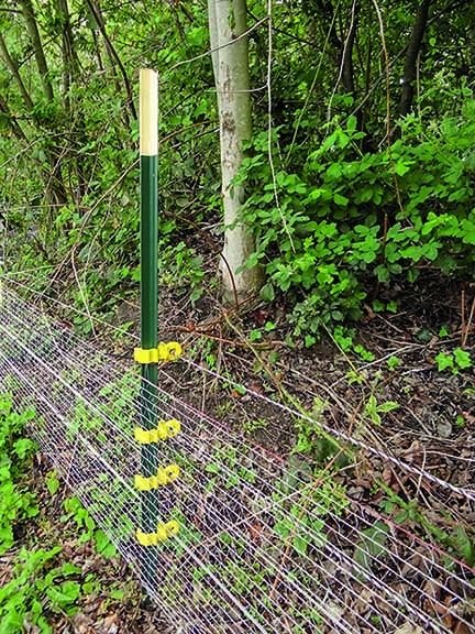 50 km Zaun stehen für den Ernstfall parat. (Foto: F. Höltmann)