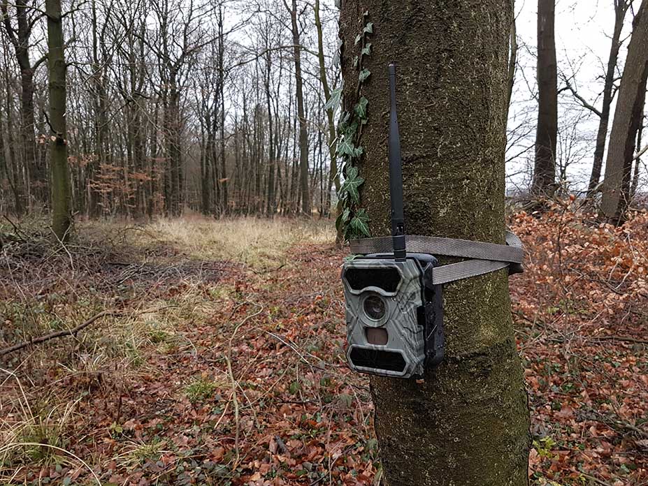 Eine Secacam-Wildkamera im Einsatz.