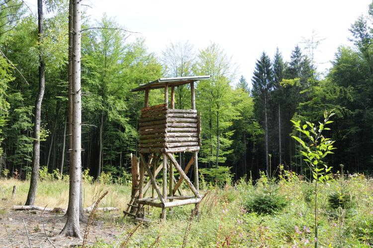 Hochsitz angesägt - Jäger kippt