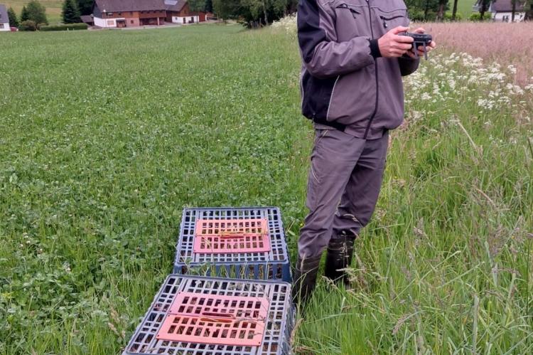 Selbsternannte Tierschützer töten schon gerettete Kitze