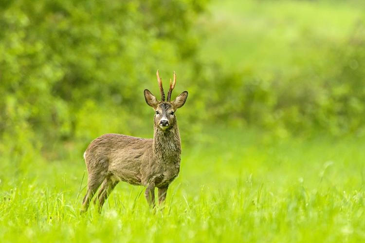 Photohunter/stock.adobe.com