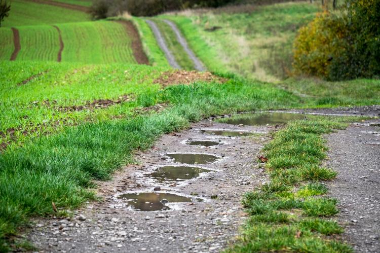 Nach EU-Definition gelten auch Pfützen als Feuchtgebiete, an denen der Einsatz bleihaltiger Munition verboten wird. (Foto: Thomas B. / pixabay.com)