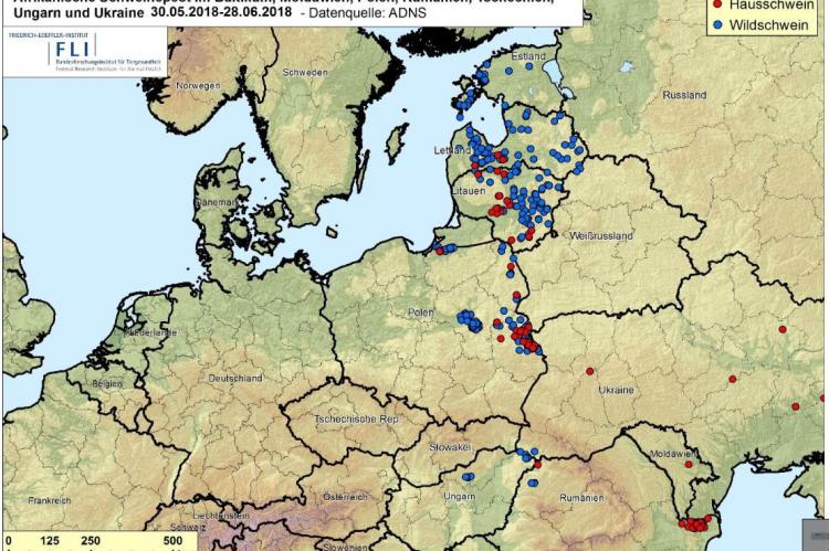 Verbreitung der ASP in Zentraleuropa (Stand: Juni 2018)