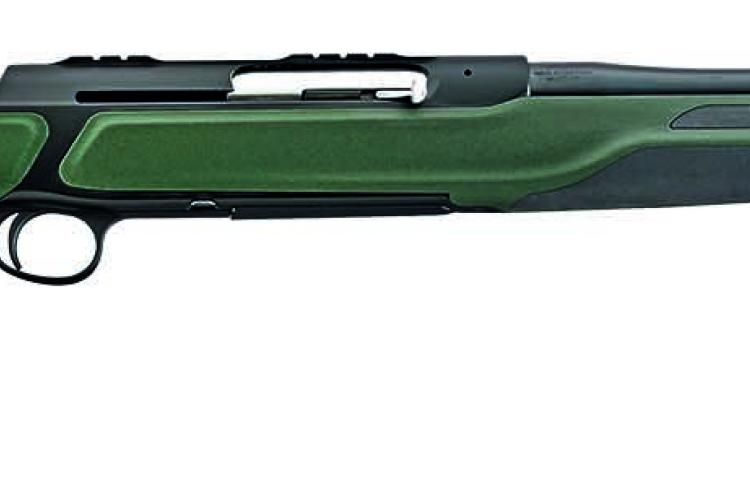 Sauer 303