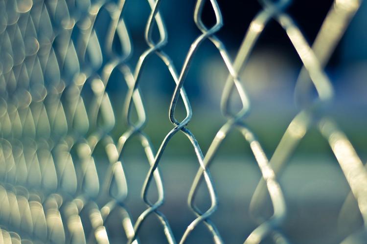Angesichts des massiven ASP-Ausbruchs will das Land Brandenburg endlich einen festen Zaun entlang der deutsch-polnischen Grenze installieren. (Foto: pixabay.com)