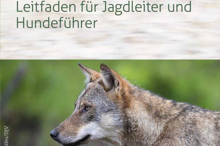DJV-Flyer Hundearbeit im Wolfsgebiet