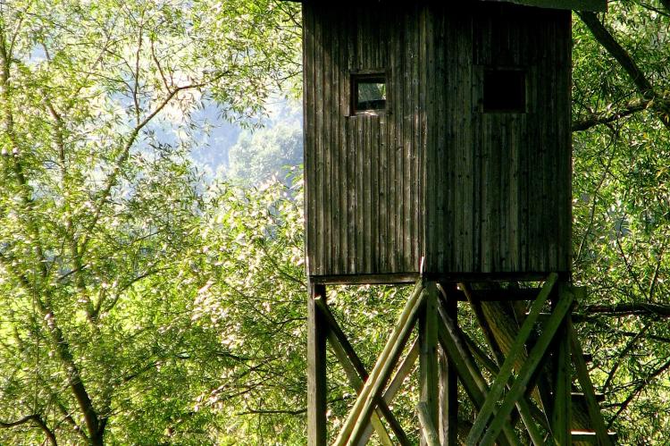 In der Nähe des Hambacher Forstes wurden in einer Nacht elf Hochsitze zerstört (Symbolfoto: Sabine Löwer / pixabay.com).