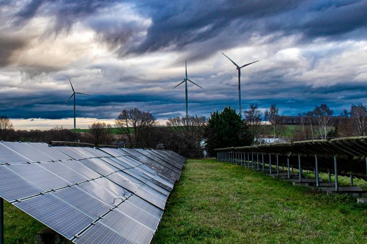 Solar-Parks als Biotope nutzen