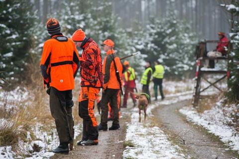 IN NRW dürfen Drückjagden trotz der Corona-Schutzverordnung durchgeführt werden. (Foto: Kauer/DJV)