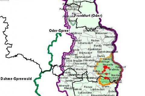 Der Osten Brandenburgs ist massiv von der ASP betroffen. (Quelle: MSGIV Brandenburg)