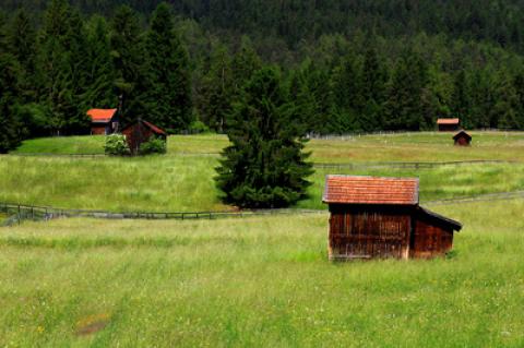 Landwirtschaft in Bayern