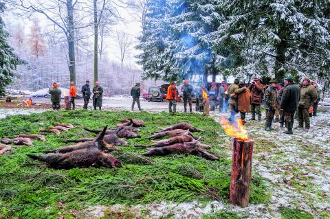 Drückjagd-Seminar: Jetzt buchen!