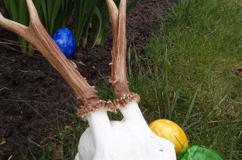 Frohe Ostern