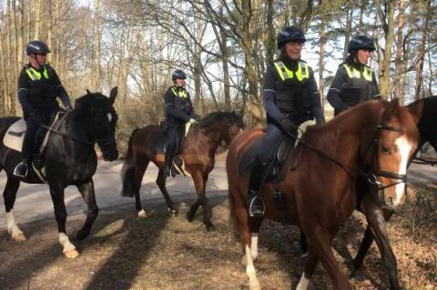 Beritten im Billiger Wald unterwegs - die Polizei Euskirchen (Foto: Polizei NRW)