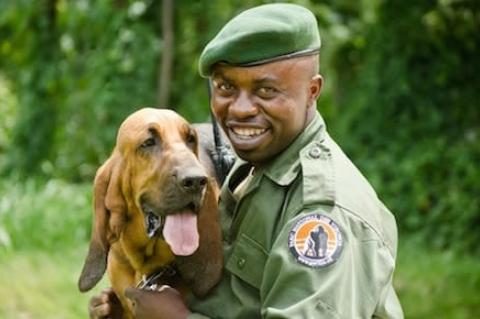 Symbolfoto: Virunga-Ranger (Quelle: Virunga National Park)