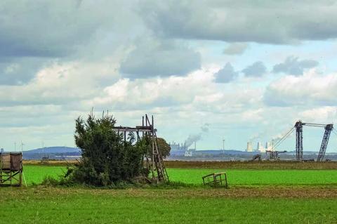 Rund um den Hambacher Forst werden immer wieder jagdliche Einrichtungen zerstört (Foto: F. Höltmann).