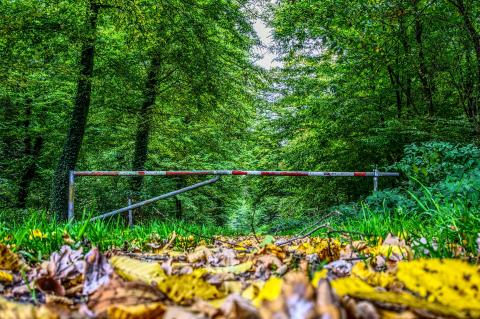 ASP-Gebiet Tschechien Zlín Betretungsverbot