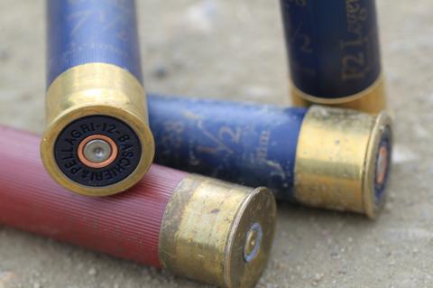 Die EU will Blei aus Jagdmunition verbannen, um die Umweltbelastung zu reduzieren (Symbolfoto: Jörg Prohaszka / pixabay.com).